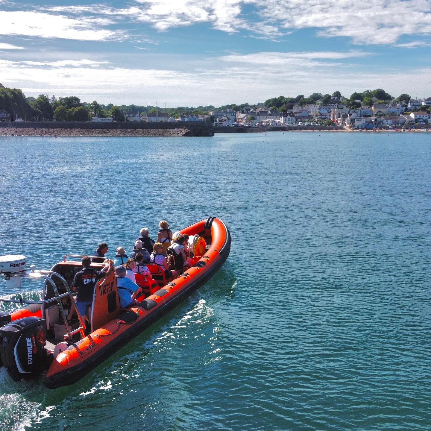 Why Sea Safaris Are Perfect for Families